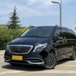 2010 Mercedes Benz Vito 2021: China Used Car Market Size