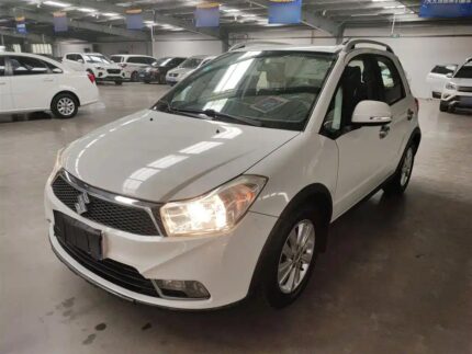 2016 Automatic Suzuki SX4: Top 5 Chinese EV Companies