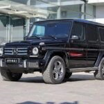 2016 Mercedes-Benz G-Class for sale 884283 | Eauto Export