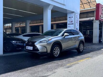 2017 Lexus NX 2L: Import from China