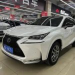 2017 Lexus NX 2L Petrol: Import from China