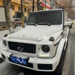 2017 Mercedes-Benz G-Class for sale 838644 | Eauto Export