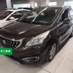 2017 Peugeot 3008 for sale 914291 | Eauto Export