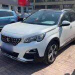 2017 Peugeot 4008 Automatic: Biggest Chinese EV Companies