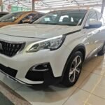2017 Peugeot 4008 Occasion: Emerging New Chinese EV