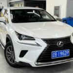 2018 Lexus NX 2L: Import from China