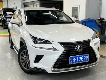 2018 Lexus NX 2L: Import from China