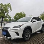 2018 Lexus NX for sale 925054 | Eauto Export