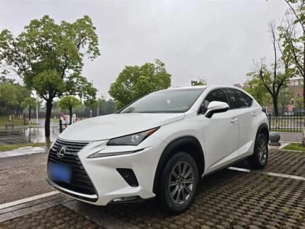 2018 Lexus NX for sale 925054 | Eauto Export