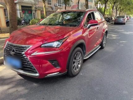 2018 Lexus NX Hybrid: Premium Used