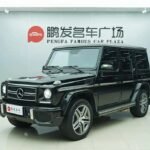 2018 Mercedes-Benz G-Class for sale 838746 | Eauto Export