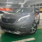 2018 SUV Peugeot 4008: Premium Used EV Car China