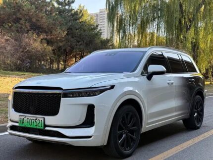 2019 1 Li Marathi Paper - Top 3 Chinese EV Companies Early