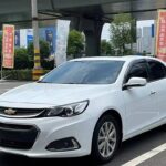 2019 Chevrolet Malibu for sale 831499 | Eauto Export