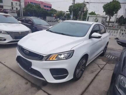 2019 Geely Binrui for sale 923181 | Eauto Export