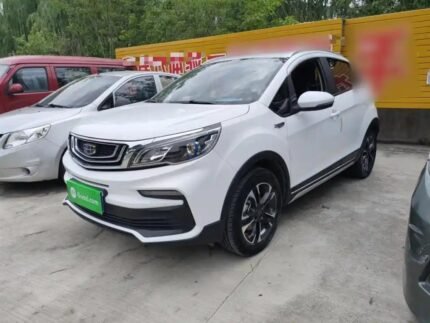2019 Geely Yuanjing X3 for sale 897233 | Eauto Export