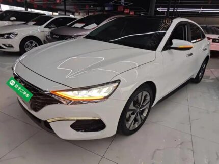 2019 Hyundai Lafesta for sale 930981 | Eauto Export