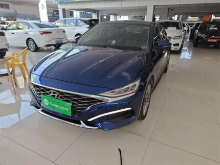 2019 Hyundai Lafesta for sale 930996 | Eauto Export
