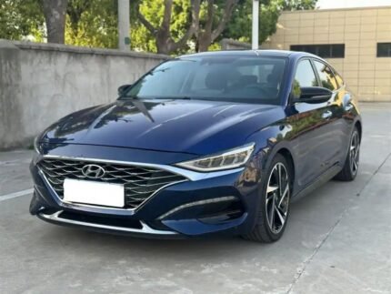 2019 Hyundai Lafesta for sale 931001 | Eauto Export