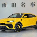 2019 Lamborghini Urus for sale 898089 | Eauto Export