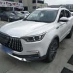 2019 Leopaard Mattu for sale 925284 | Eauto Export