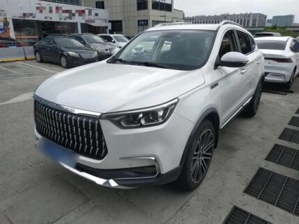 2019 Leopaard Mattu for sale 925284 | Eauto Export