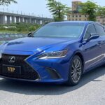 2019 Lexus ES for sale 854159 | Eauto Export