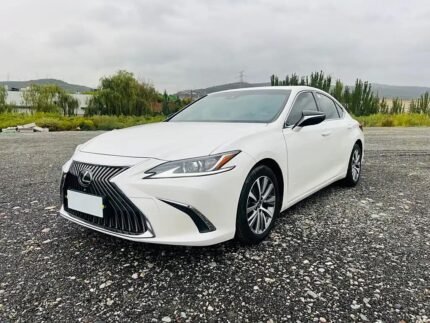 2019 Lexus ES for sale 860947 | Eauto Export