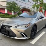 2019 Lexus ES for sale 861829 | Eauto Export