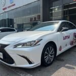 2019 Lexus ES for sale 871822 | Eauto Export