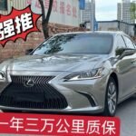 2019 Lexus ES for sale 924930 | Eauto Export
