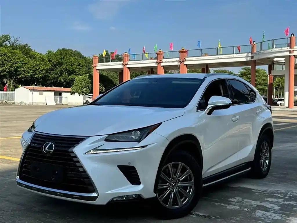 2019 Lexus NX 2L: Import from China 2019 Lexus NX 2L: Import from China