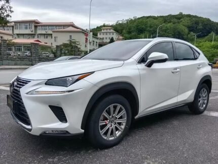 2019 Lexus NX 2L Petrol 4WD: Import Now