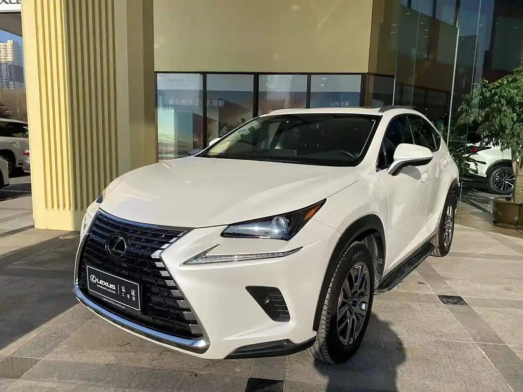 2019 Lexus NX 2L Petrol: Import from China 2019 Lexus NX 2L Petrol: Import from China