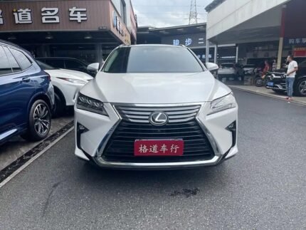 2019 Lexus RX 2L Petrol 4WD - China