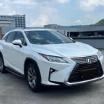 2019 Lexus RX 2L Petrol - China Export
