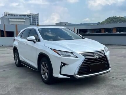 2019 Lexus RX 2L Petrol - China Export