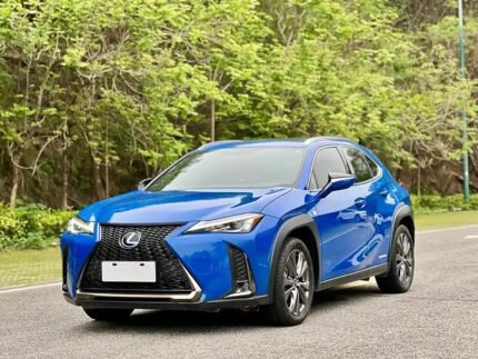 2019 Lexus UX 2L Hybrid - China Export