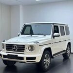 2019 Mercedes-Benz G-Class for sale 911275 | Eauto Export