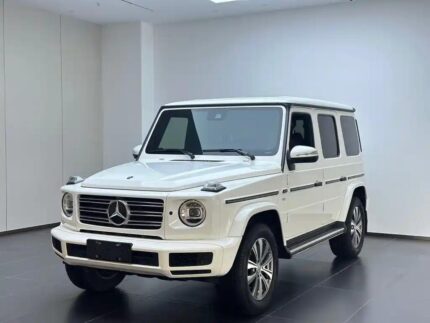 2019 Mercedes-Benz G-Class for sale 911275 | Eauto Export