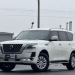 2019 Nissan Patrol for sale 839541 | Eauto Export