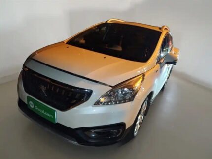 2019 Peugeot 3008 Reviews: Leading Chinese Car EV Options