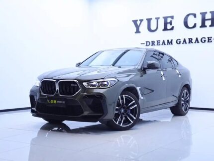 2020 BMW X6 M for sale 839548 | Eauto Export