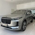 2020 DJ Afro The One Jet Li - Top 5 Chinese EV Companies