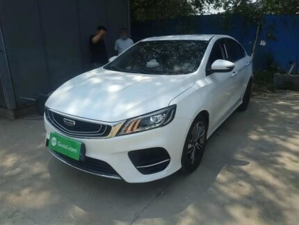 2020 Geely Binrui for sale 923188 | Eauto Export
