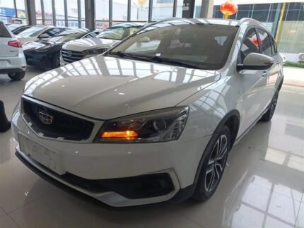 2020 Geely Yuanjing S1 for sale 923955 | Eauto Export