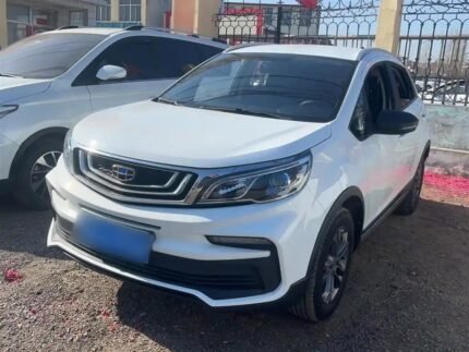 2020 Geely Yuanjing X3 for sale 897244 | Eauto Export