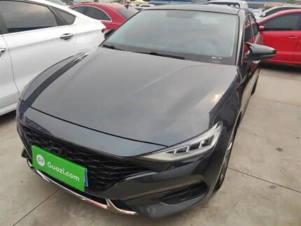 2020 Hyundai Lafesta for sale 930998 | Eauto Export