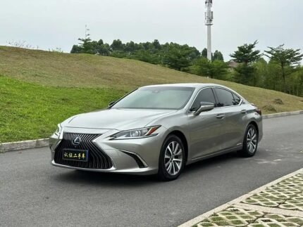 2020 Lexus ES for sale 850118 | Eauto Export