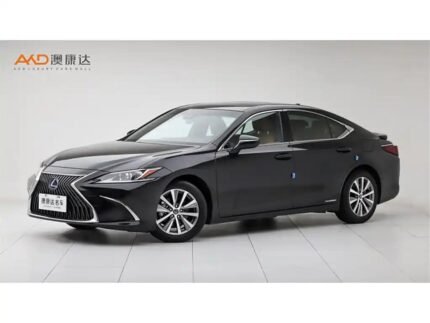 2020 Lexus ES for sale 852014 | Eauto Export